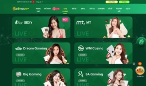 Đánh Giá Nhà Cái Bongvip