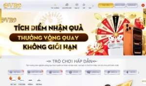 Khuyến Mãi Nhà Cái Vuabai9